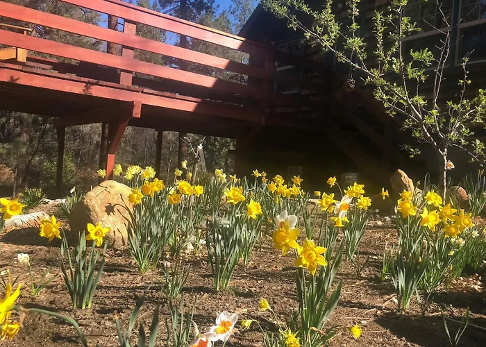 Ahwahnee-Be Vintage Cabin - Walk To Town!